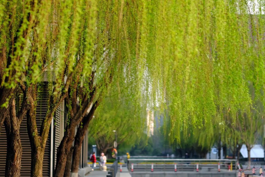 比特币大跳水！虚拟货币超8.6万人爆仓